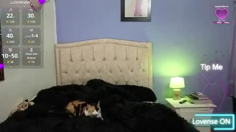 Snapshot of stephania_t chatting on 11, 6, 2026 Stephania online show from 11, 6, 2026