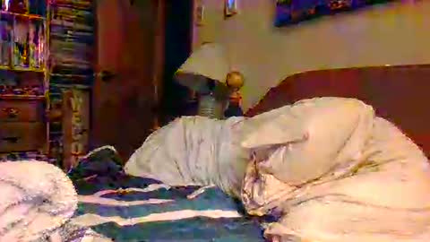 Ian23602 online show from 19, 12, 2025