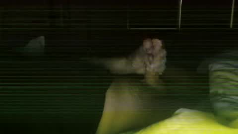 Steve online show from 27, 2, 2026