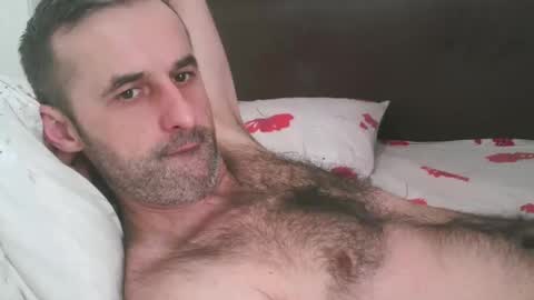 stevenpit online show from 1, 3, 2026