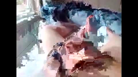 Snapshot of stevie_y19 chatting on 14, 2, 2025 stevie_y19 online show from 14, 2, 2025