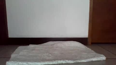 stgo2000caliente online show from 18, 2, 2025