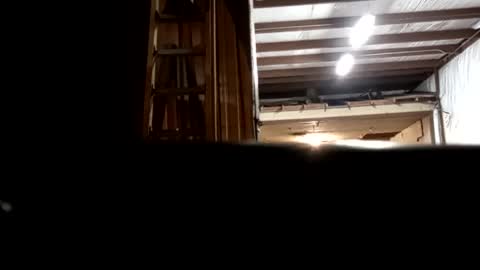 Oval2022 online show from 16, 12, 2024