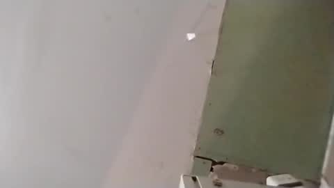 Oval2022 online show from 14, 4, 2026