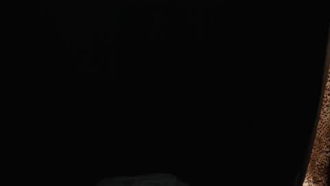 stonenipple online show from 26, 11, 2025