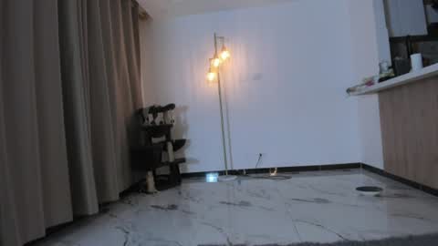 Snapshot of storm_doll chatting on 3, 8, 2026 storm doll online show from 3, 8, 2026