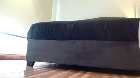 storm_hanks online show from 7, 1, 2026