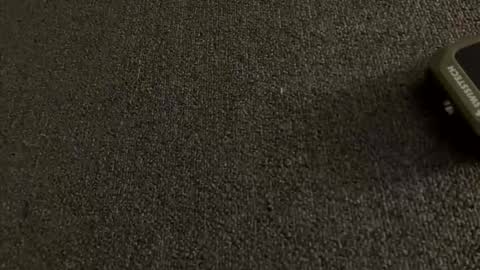 stout0818 online show from 1, 4, 2026
