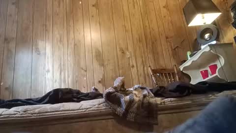 straighttoy online show from 3, 11, 2025