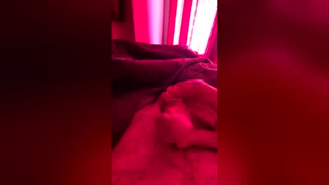 strarktyy44 online show from 20, 6, 2026