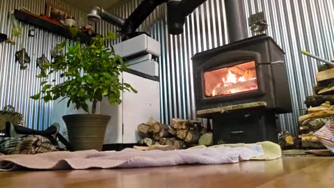 stricktlypleasure online show from 4, 1, 2025