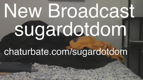 Sugar online show from 5, 3, 2025