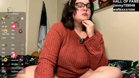 SugarStock online show from 31, 3, 2026