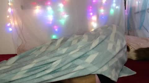 Snapshot of suley_fox chatting on 4, 3, 2026 zuley online show from 4, 3, 2026