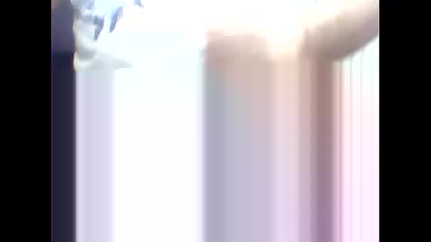 Snapshot of suleyman38 chatting on 17, 2, 2025 suleyman38 online show from 17, 2, 2025