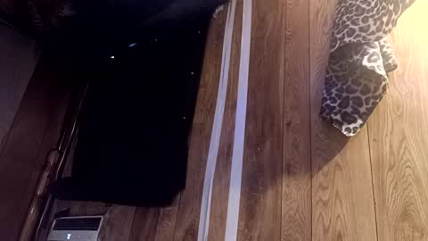 Summer Divine online show from 22, 2, 2025