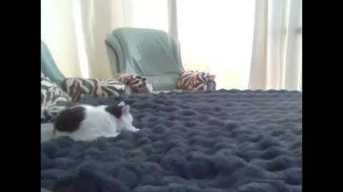 Snapshot of suni_bitch chatting on 10, 3, 2025 suni online show from 10, 3, 2025