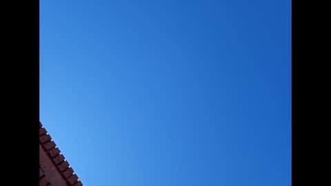 Snapshot of suntroll chatting on 6, 1, 2025 Suntroll online show from 6, 1, 2025