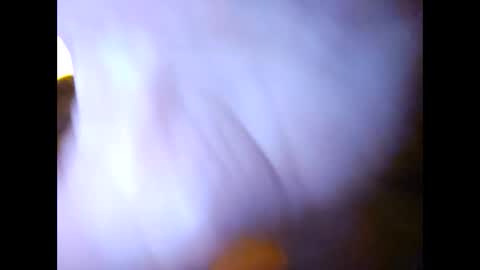 Snapshot of suntroll chatting on 7, 2, 2025 Suntroll online show from 7, 2, 2025