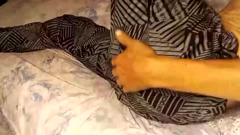 superdavedetailzz2025 online show from 19, 9, 2025