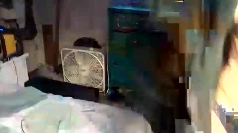 superdavedetailzz2025 online show from 28, 10, 2025