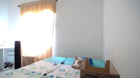 Susana online show from 9, 2, 2025