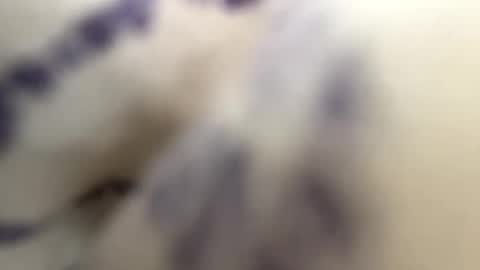 Snapshot of sustainable4u chatting on 30, 1, 2025 Andy online show from 30, 1, 2025