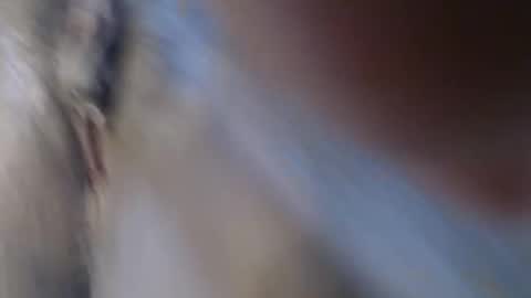 Suzy online show from 22, 3, 2026