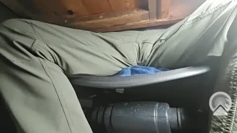 swamp486822 online show from 5, 2, 2025