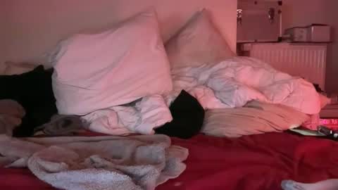 Horny French Arab online show from 25, 3, 2026