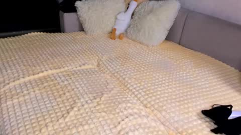 Alice online show from 15, 11, 2025