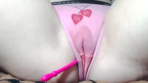 Kitten online show from 3, 3, 2026