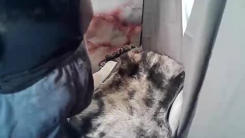 RUBY online show from 19, 11, 2025