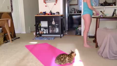 Snapshot of sweet_truffle chatting on 7, 10, 2025 Heidi Brenner - Please check bio for schedule FAQ online show from 7, 10, 2025