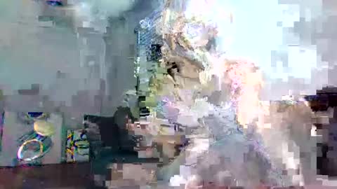 sweetness_cool online show from 9, 10, 2025