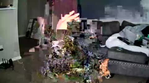 sweetness_cool online show from 22, 10, 2025