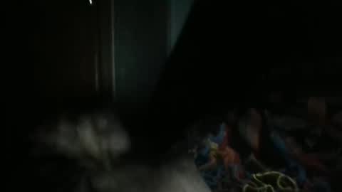 Snapshot of sweetpussylicks chatting on 7, 2, 2025 sweetpussylicks online show from 7, 2, 2025