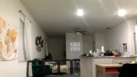 sweetriddance online show from 1, 3, 2026