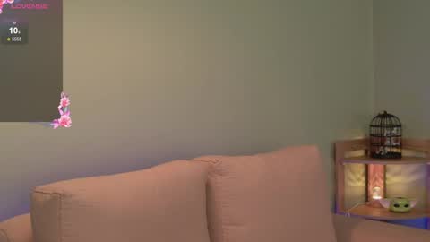    online show from 24, 4, 2026