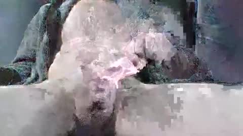 sybomec online show from 25, 3, 2026