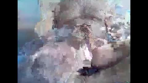 Syme online show from 8, 11, 2025