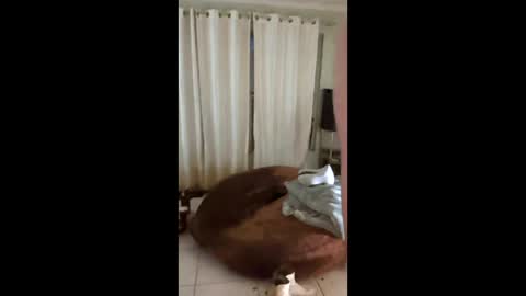 Snapshot of tab7exp chatting on 21, 3, 2026 tab7exp online show from 21, 3, 2026