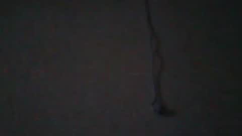 tahtouhafakroune12 online show from 4, 4, 2026