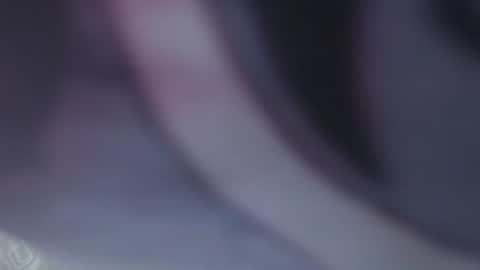 Juli online show from 1, 3, 2026