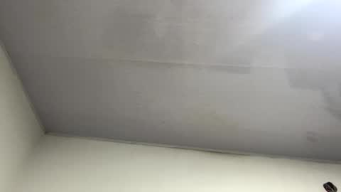 tali  online show from 26, 10, 2025