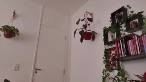 Tali Majid online show from 10, 2, 2026