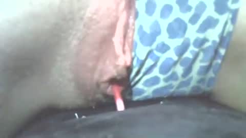 tamesbury online show from 2, 11, 2025