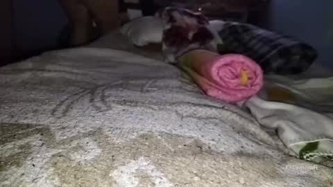 Snapshot of tangaxhentai3 chatting on 6, 1, 2025 tangaxhentai3 online show from 6, 1, 2025