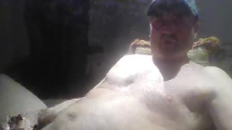 tarzeny77 online show from 4, 6, 2026