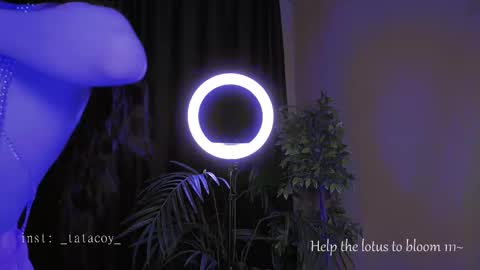 TataCoy online show from 30, 10, 2025